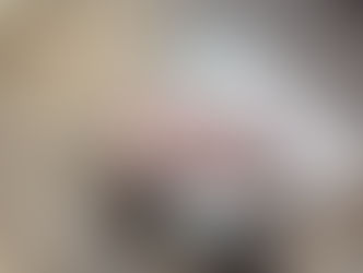 用來蓋二樓的老建材─「豬肝磚」!!