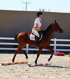 WhatsApp Image 2025-11-07 at 9.45.37 AM (3).jpeg