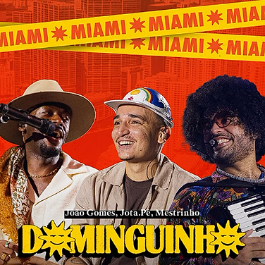 DOMINGUINHO MIAMI.png