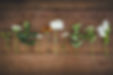 flowers lined up on wood.jpg