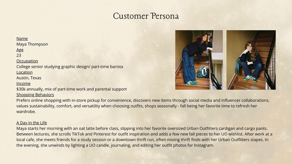 customer persona 