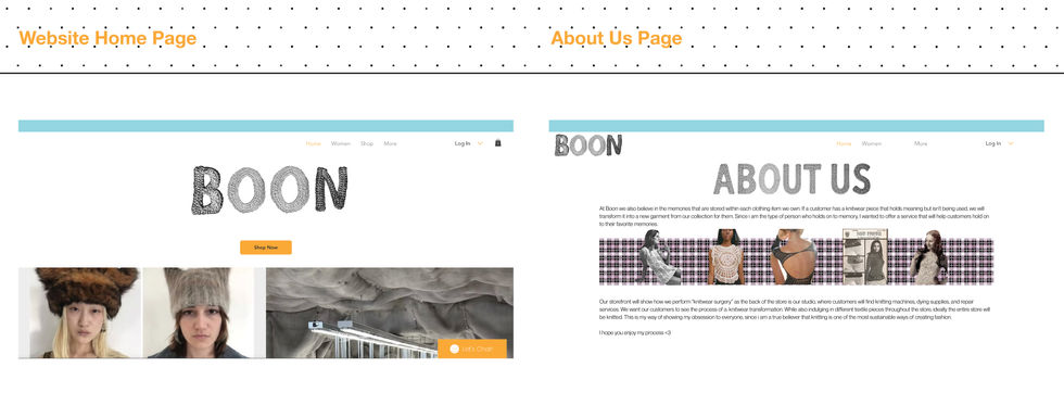 website homepage, about us page