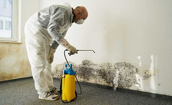 Mold Prevention Strategies
