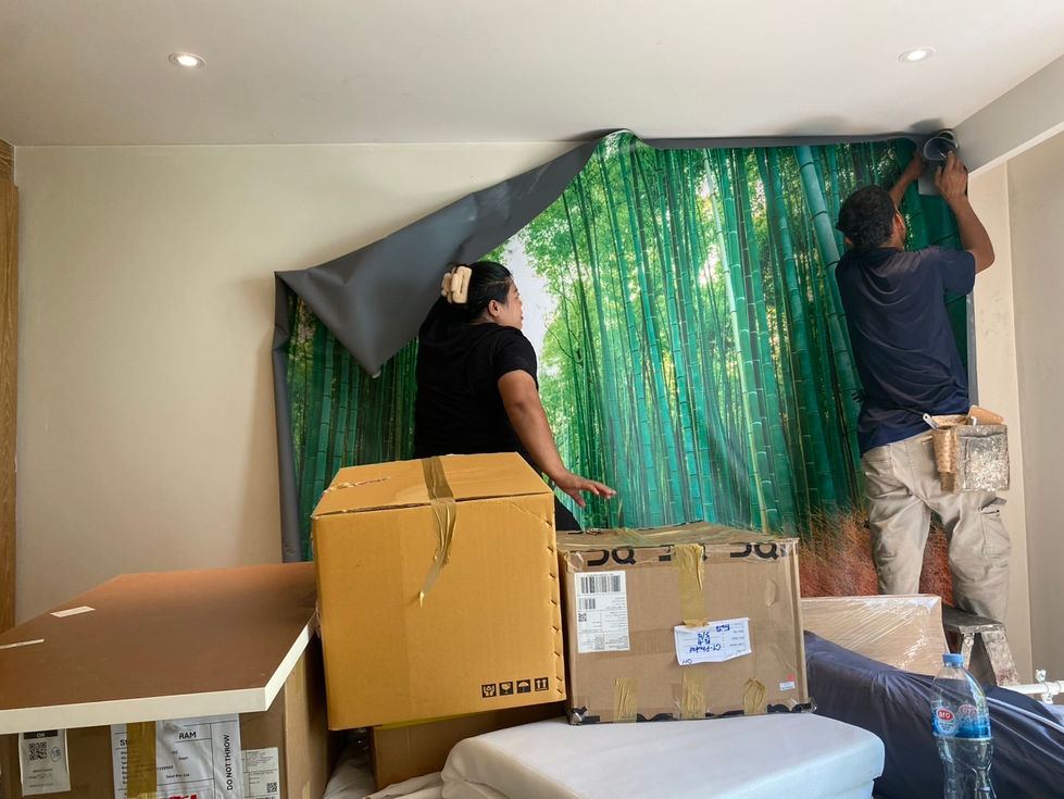 People setting up a green backdrop with boxes nearby.