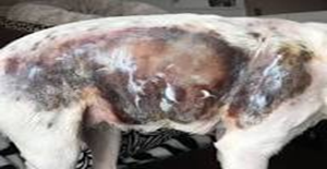 And the cold marches on