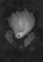 birdflower_BW.jpg