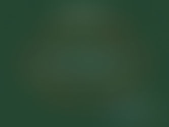 228連假課程暫停一次