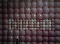 885758_10207156197925919_7028952853938671777_o