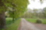 DSC_0372 (1280x851)