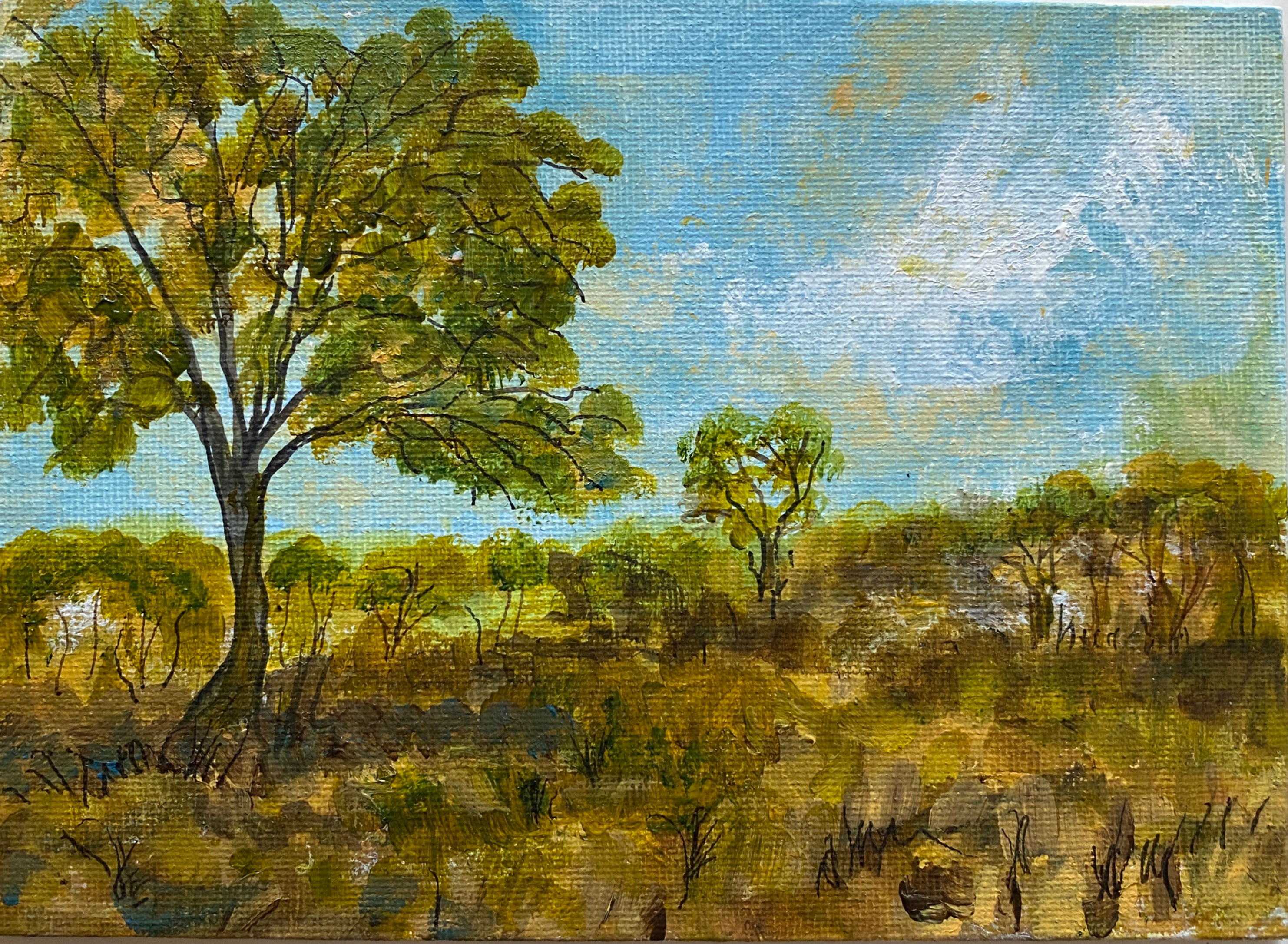 Wimbledon Common Small Original Painting