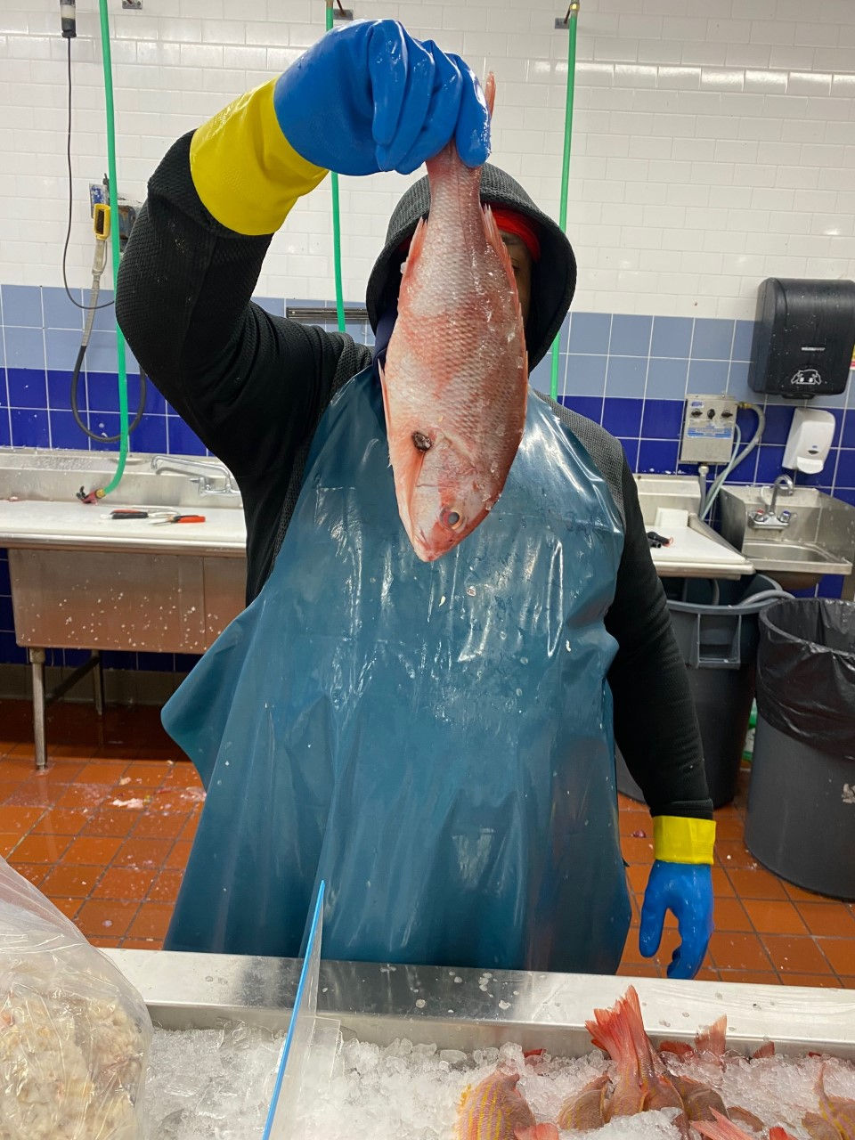 Thumbnail: Roast Fish