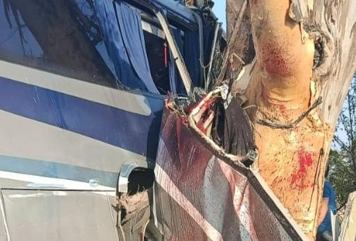 Autobús Amealcenses deja muertos y heridos en Choque en Amealco.