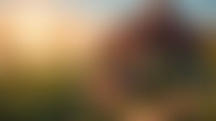 Cannabis Farm Living