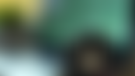 Cannabis HR, Payroll, Benefits