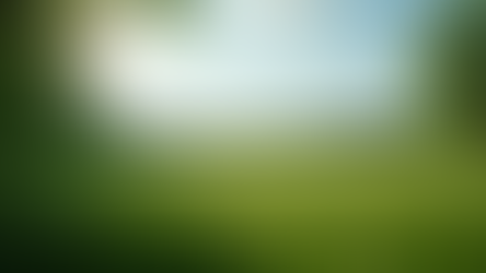 🚨 𝗨𝗿𝗴𝗲𝗻𝘁 𝗔𝗰𝘁𝗶𝗼𝗻 𝗡𝗲𝗲𝗱𝗲𝗱: 𝗣𝗿𝗼𝘁𝗲𝗰𝘁 𝗠𝗶𝗻𝗻𝗲𝘀𝗼𝘁𝗮’𝘀 𝗖𝗮𝗻𝗻𝗮𝗯𝗶𝘀 𝗠𝗮𝗿𝗸𝗲𝘁! 🚨