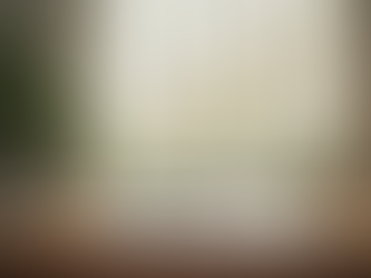 Unveiling the Secrets of Genuine Active Income