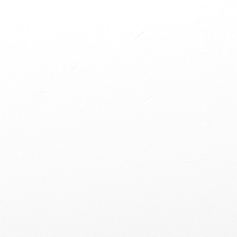 organic textured white background.jpg