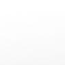 organic textured white background.jpg