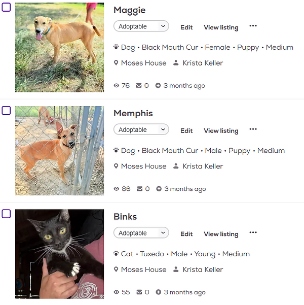 Screenshot 2025-12-16 110925.png