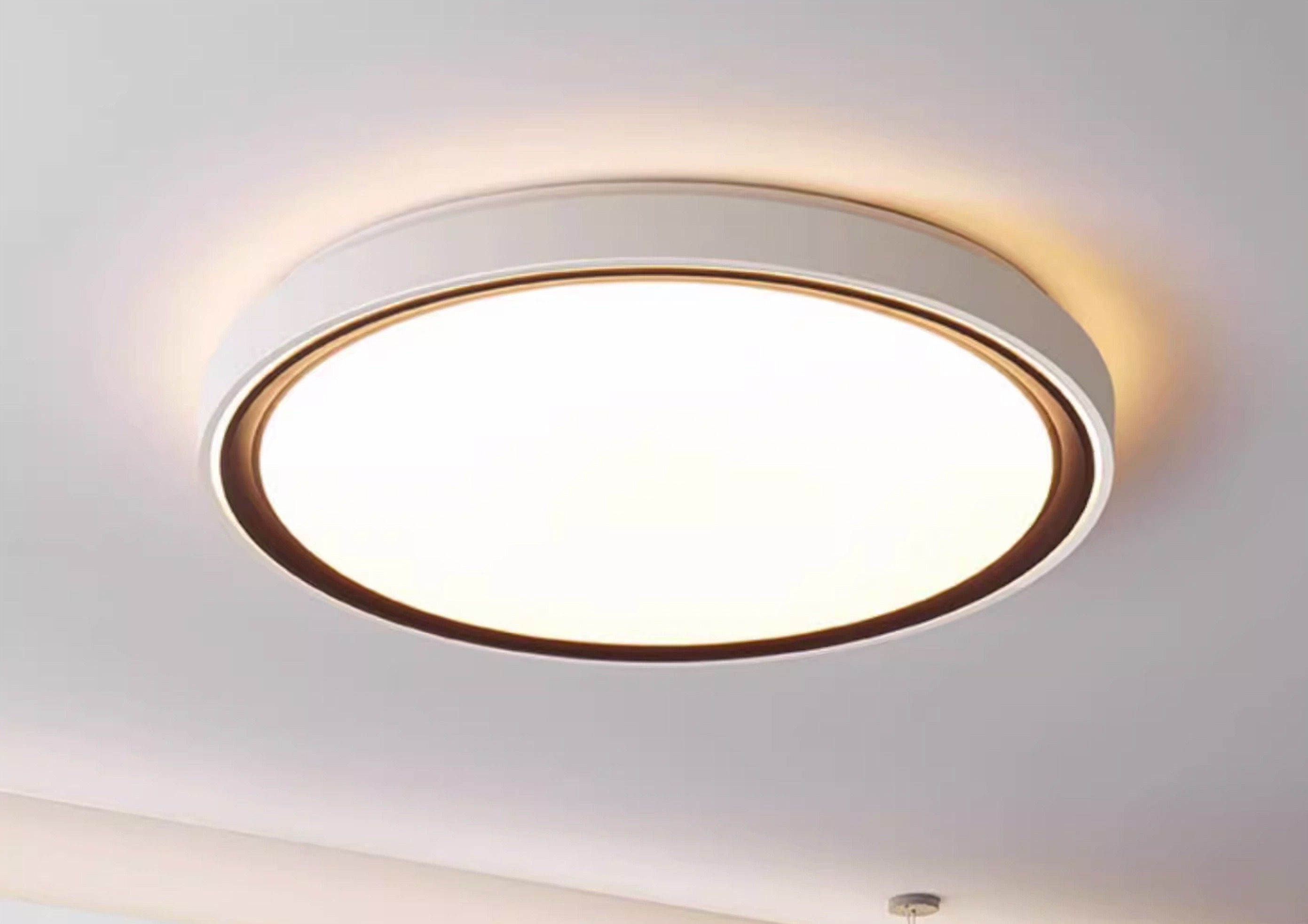 White & Darkwood Burger LED Ceiling Light