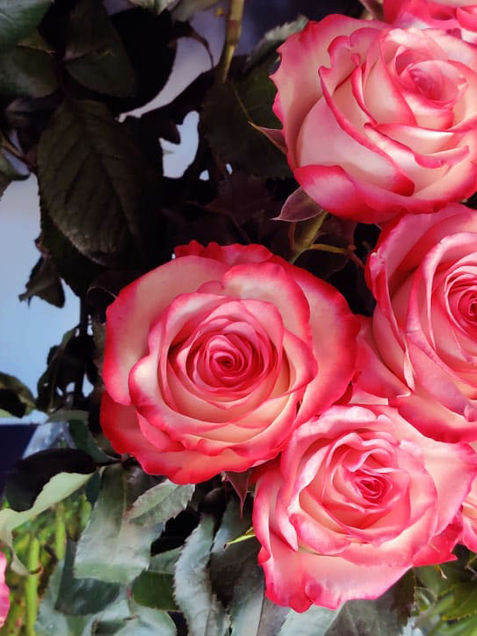 WhatsApp Image 2022-02-13 at 16.57.06 (3).jpeg