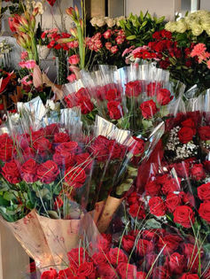 WhatsApp Image 2022-02-13 at 16.56.44.jpeg