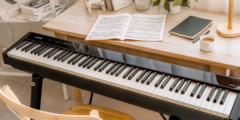 NUX NPK-10 | 88 weighted Keys | Portable Digital Piano