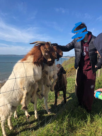 children visiting goats