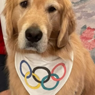 Beacon, el primer perro de terapia del Equipo de Gimnasia de Estados Unidos