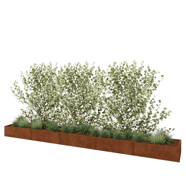 Cortenstaal plantenbak XXL - Rechthoek - 500 x 60 x 30 cm - Zonder bodemplaat