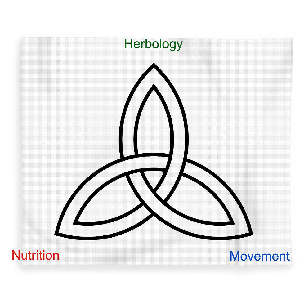 Triquetra-3 points of One Stop Apothecary's holistic picture: Herbology, Nutrition and Movement