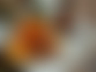Close up dynamic view of a clear cup of herbal tea, a small open amber jar of a creamy ointment, a amber dropper bottle on a natural fabric on a wooden table surrounded by dried herbs