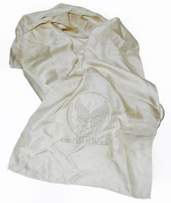 AAF embroidered silk scarf