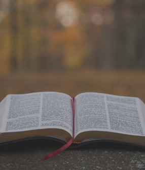 bible page on gray concrete surface_edit