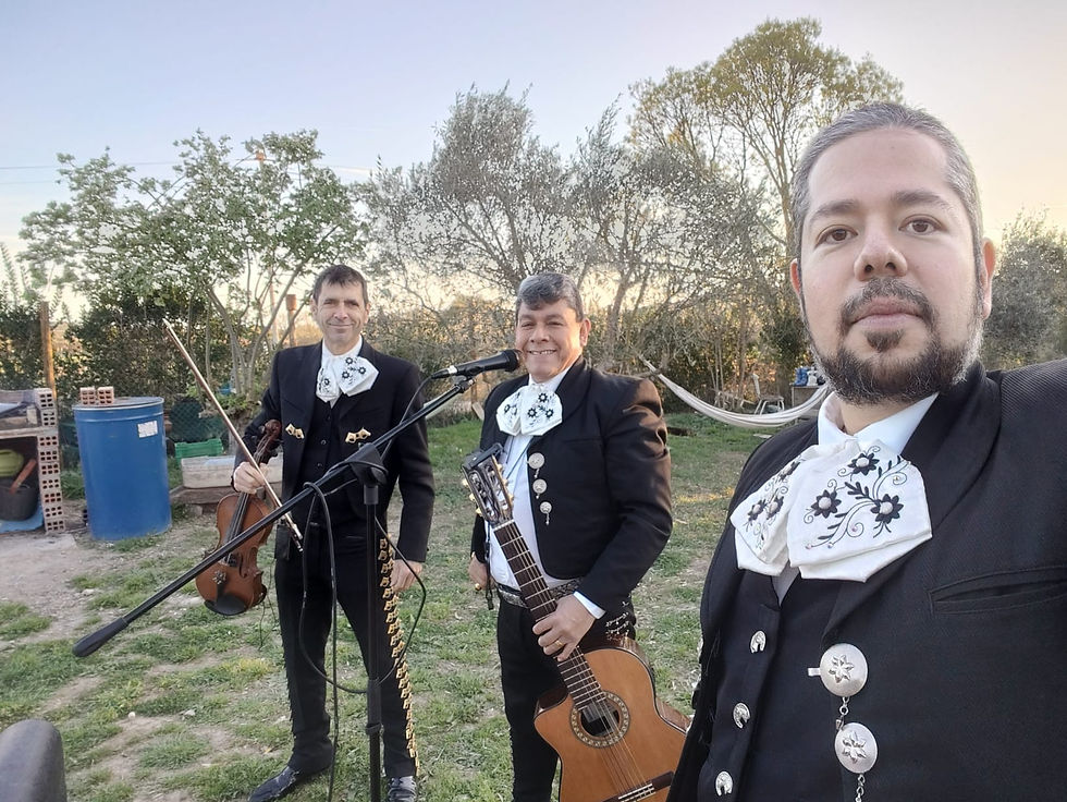 WhatsApp Image 2024-06-25 at 21.06.41