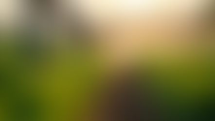 Optimising Water Usage for Indian Agriculture