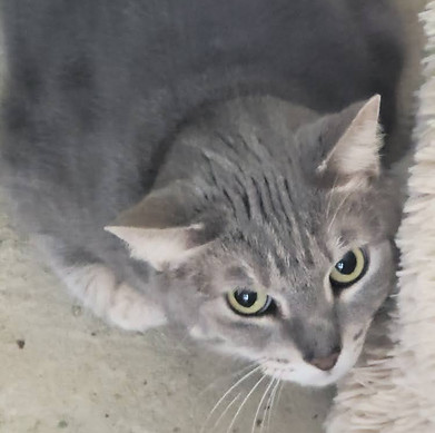 09_Catarina.jpeg