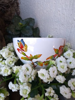 IMG_20200621_121137415