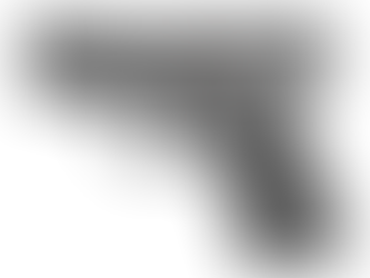 The Top 5 Conceal Carry Pistols of 2024 so far