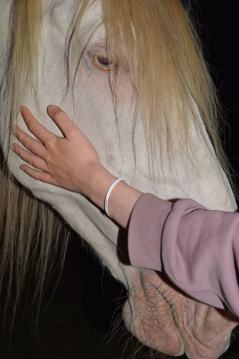 BEST OF A NEW NOTE 2024   –   EDITION 09/2025