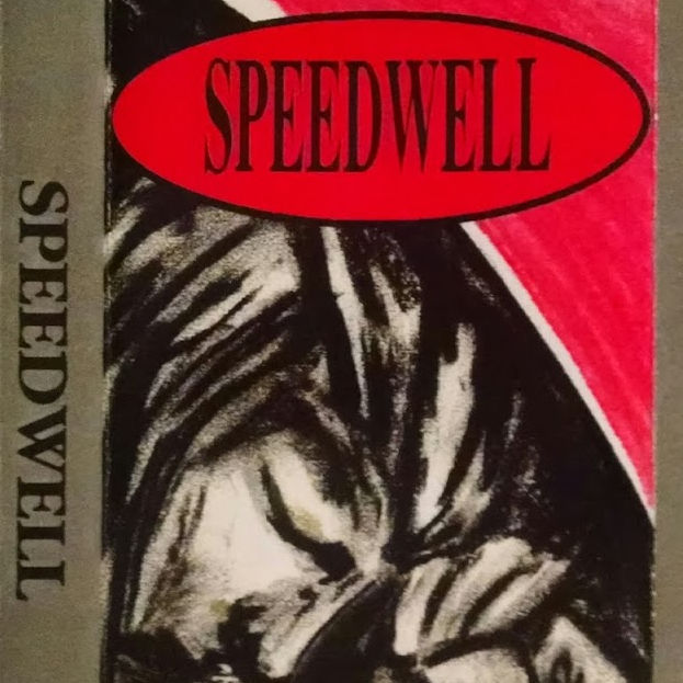 Speedwell
