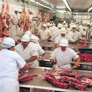 Con la eliminación del peso mínimo de faena, se armó el debate: ¿Es un alivio o un riesgo para el negocio cárnico argentino?