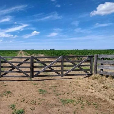 El mercado inmobiliario rural, otro reflejo del buen momento de la ganadería