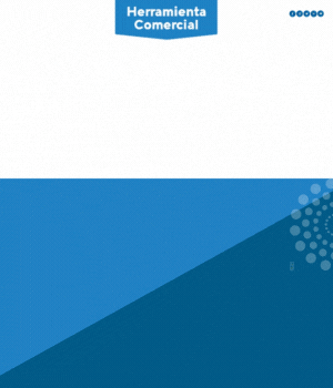 300x350.gif