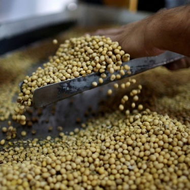 Previo a la suba de las retenciones, los productores aceleraron las venta de soja