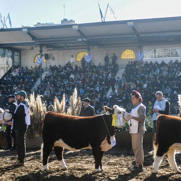 La Rural de Palermo 2025: cronograma, qué día iría Javier Milei y todo lo que tenés que saber