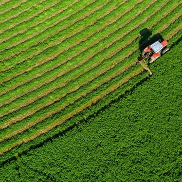 La logística como un factor clave para que Argentina impulse la producción de alfalfa premium