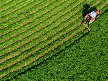 La logística como un factor clave para que Argentina impulse la producción de alfalfa premium