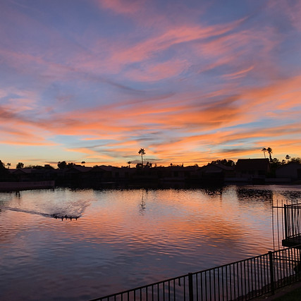 sunset ducks.jpg