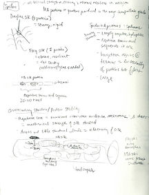 sketchbook6.jpeg